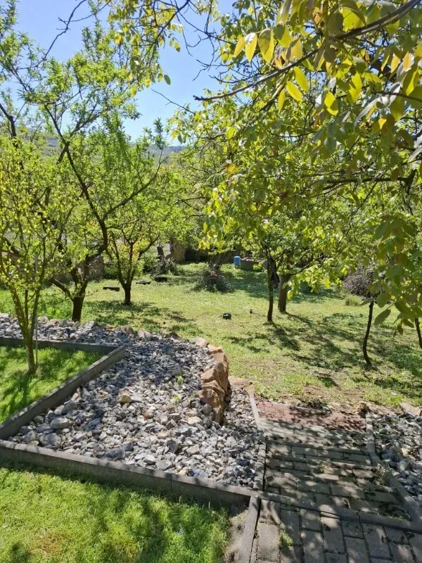 După lucrare: Tuns iarbă și gazon în Miniș