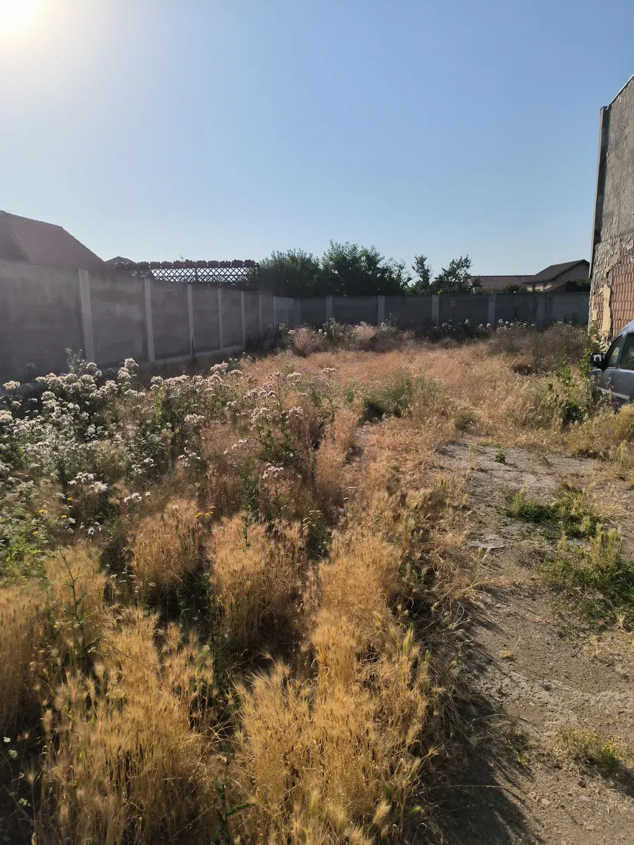 Înainte de lucrare: Tăiere iarbă mare și defrișare ușoară în Arad